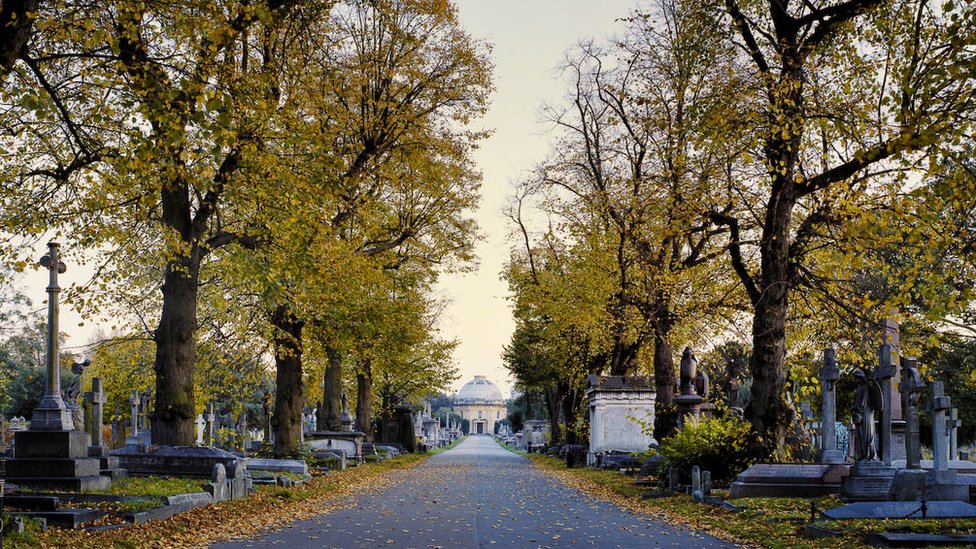 Вид на кладбище Бромптон осенью