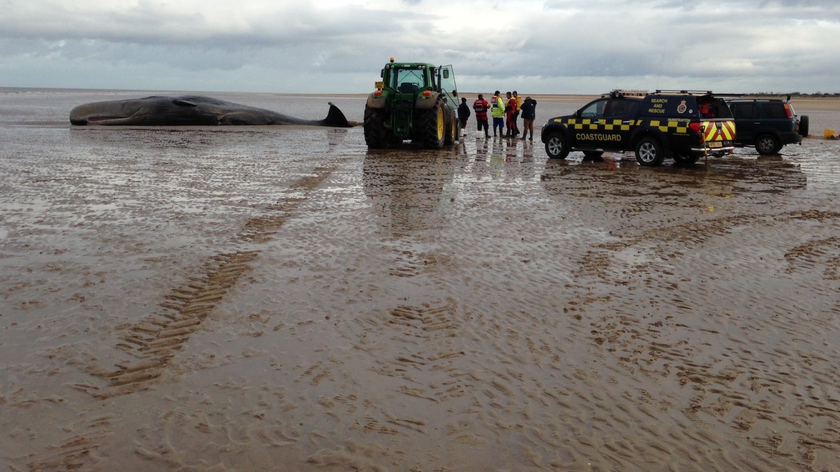 Latest on whale stranded on Norfolk beach: Thursday 4 February, 2016