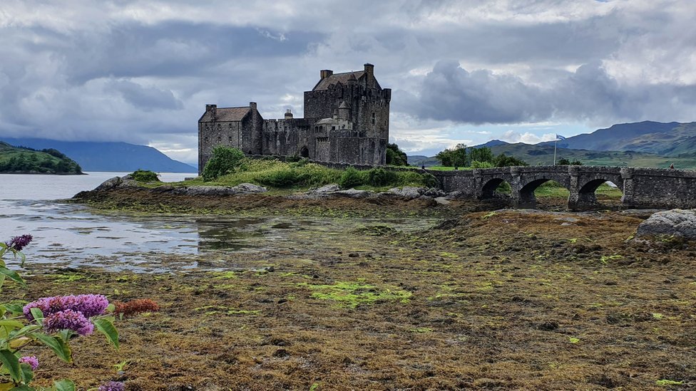 Your pictures of Scotland 17 - 24 July - BBC News