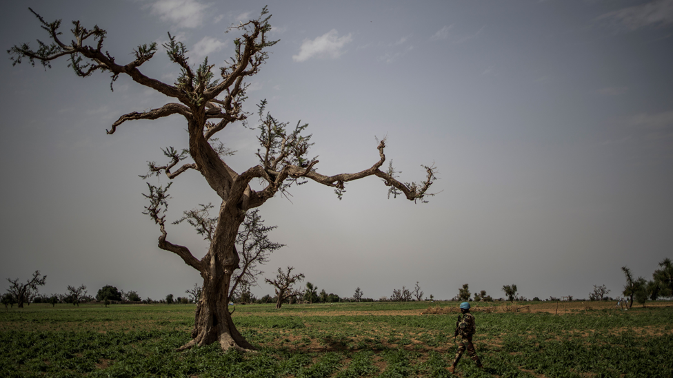 Солдат ООН идет мимо дерева в центре Мали