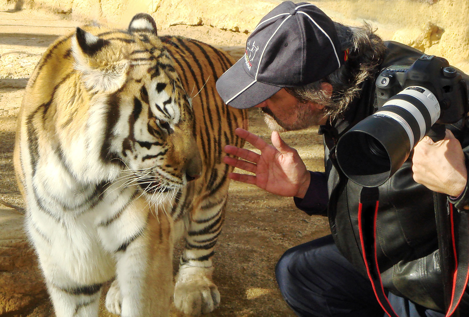 Pedro Jarque Krebs con un tigre