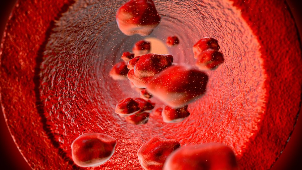 Ilustración de glóbulos rojos por un vaso sanguíneo.