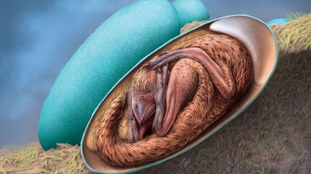 They find a perfectly preserved dinosaur embryo in China