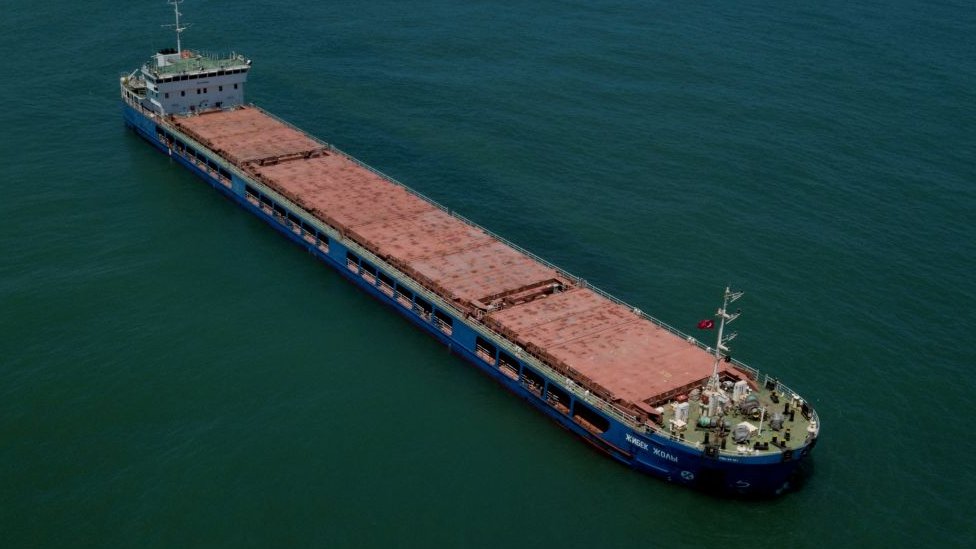 Ukrayna tahılı taşımakla suçlanan Rus gemisi
