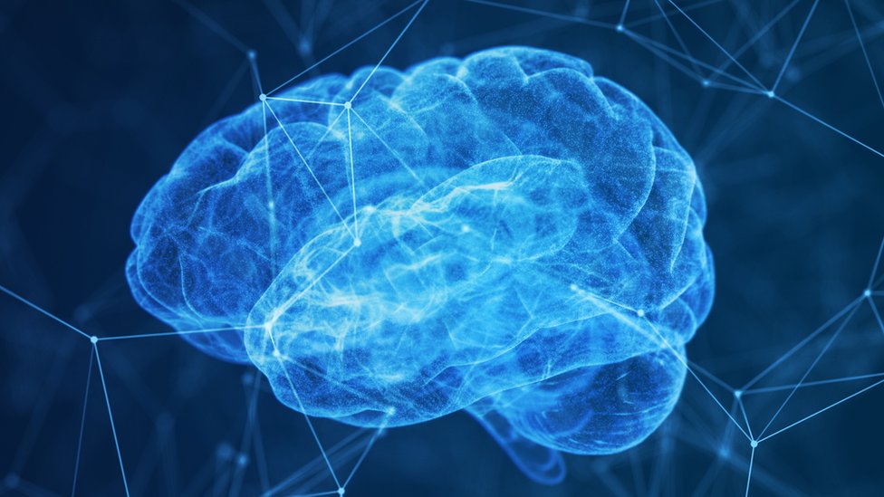 El cerebro y sus conexiones neuronales.