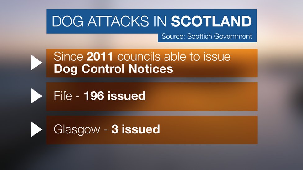 Scottish hospitals see 80 increase in dog attack victims BBC News
