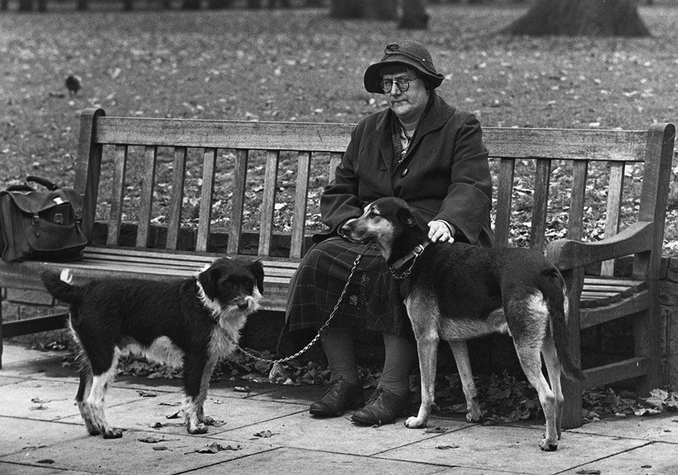 Женщина сидит на скамейке с двумя собаками