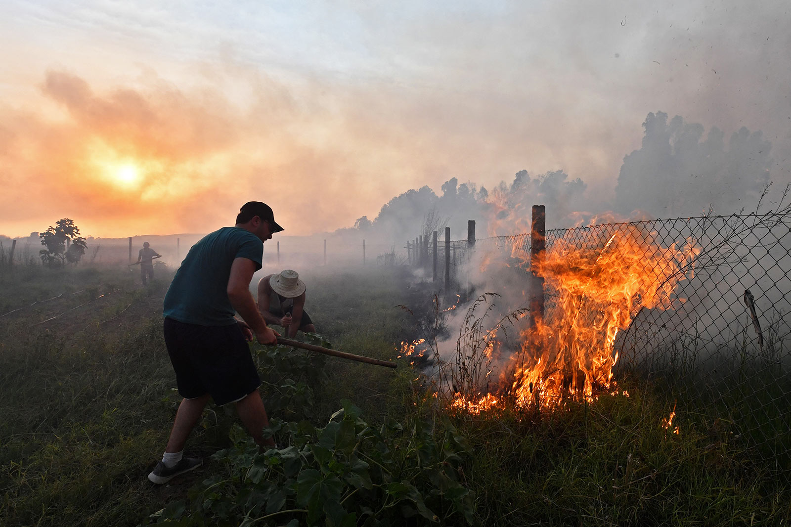 ​​Residents try to extinguish a wildfire in the northwestern coastal town of Tabarka, Tunisia - 24 July 2023