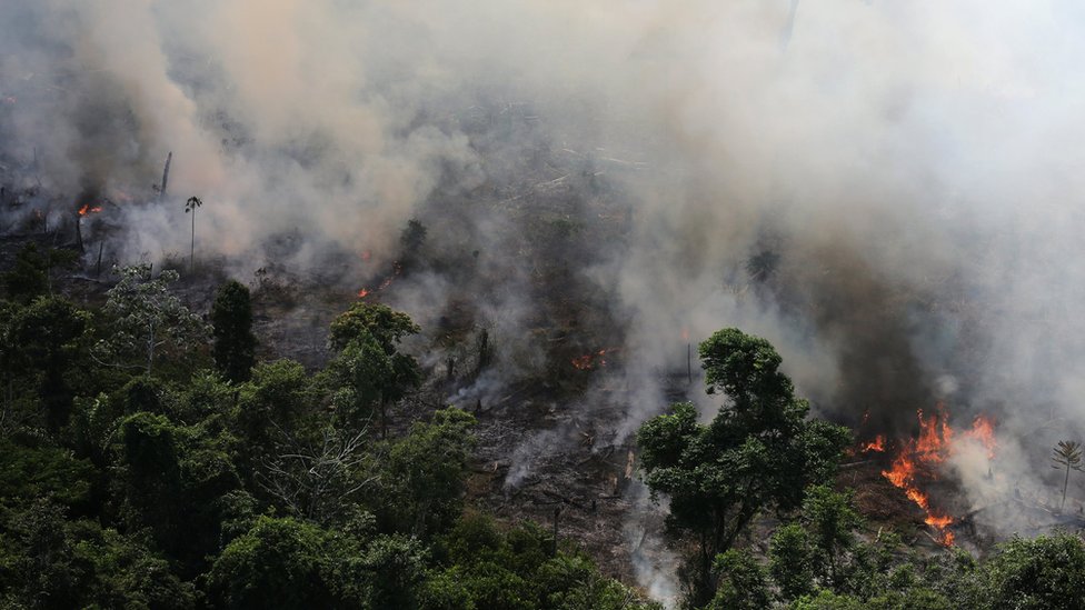 Amazon fires increase by 84% in one year - space agency - BBC News