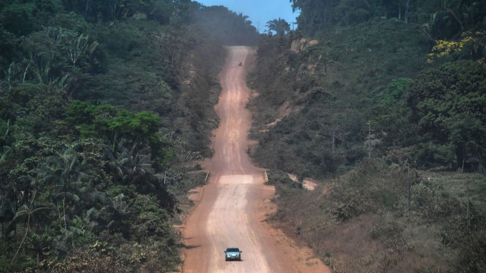 Camino construido a través de la selva tropical.
