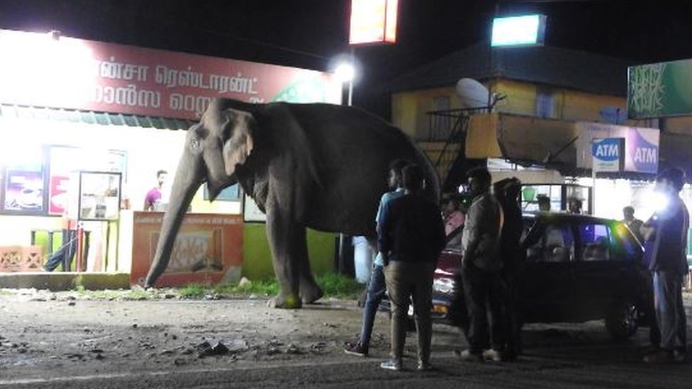 Bharadan near a restaurant