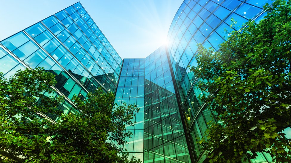 La diferencia de temperatura entre la ciudad y el campo puede ser de entre 3º C y 10º C. Árboles en la ciudad