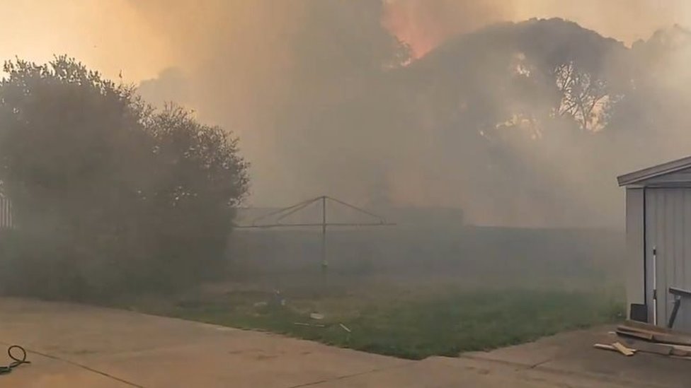 Густой дым от лесного пожара окутывает двор в Аделаиде