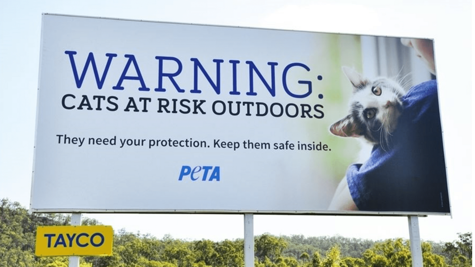 En Australia, alertan en algunos carteles que los gatos corren riesgos si permanecen fuera de las casas.
