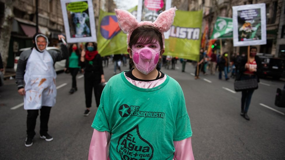 阿根廷多個城市去年曾爆發反對與中國簽訂豬肉生產協議的抗議。