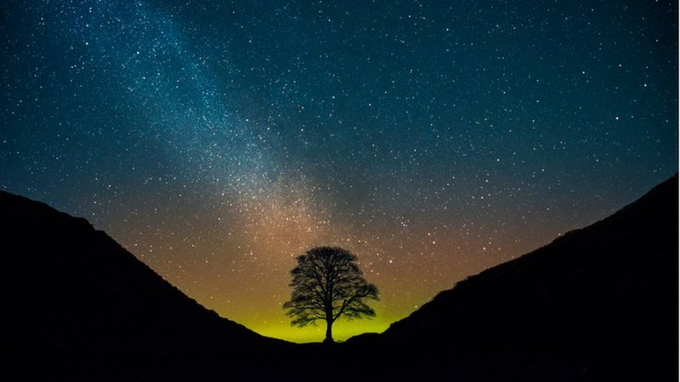 Sycamore Gap tree at night with the stars and Northern lights in the background
