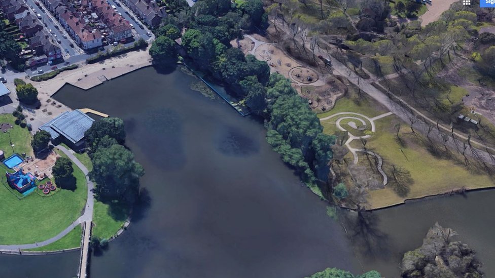 Hull's East Park Nesting bird 'costs ride operator thousands' BBC News