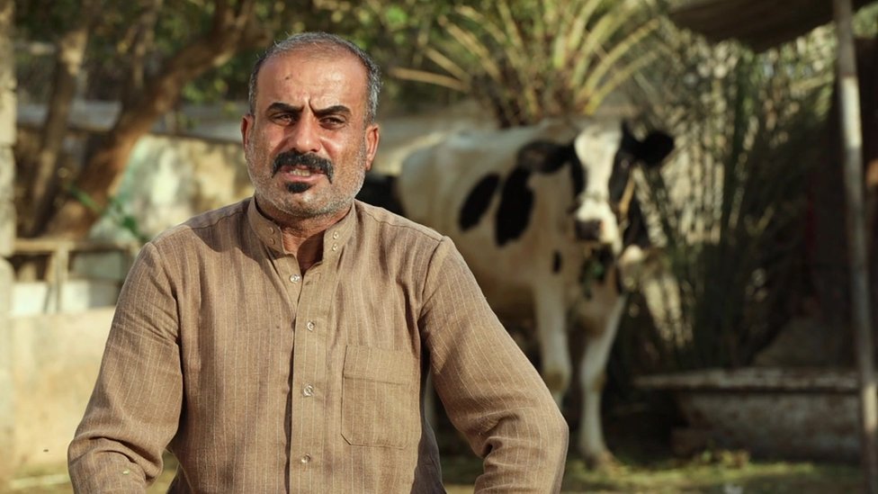 livestock breeder in iraq