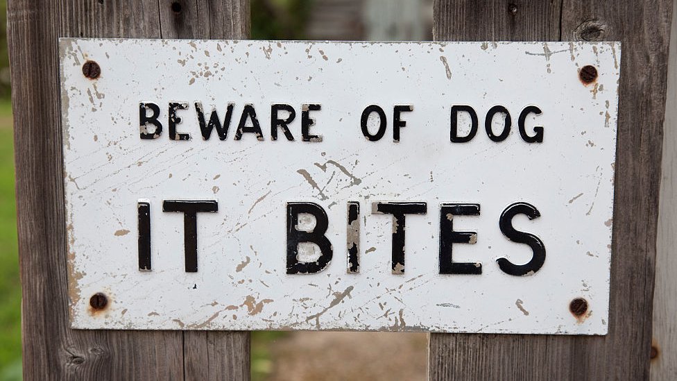 Остерегайтесь знака собаки
