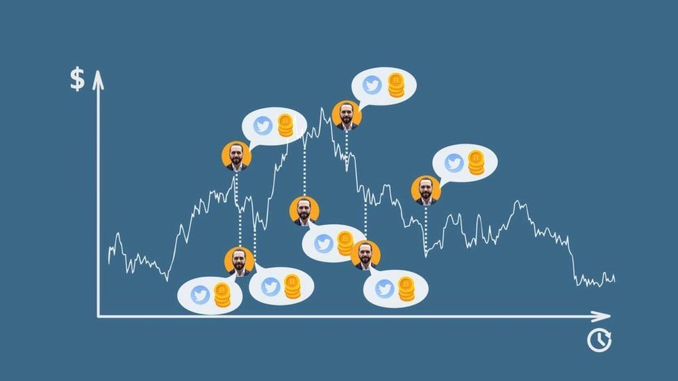 مشتريات الرئيس بوكيله من البيتكوين مقابل قيمة البيتكوين وفقا لكوين ماركتكاب