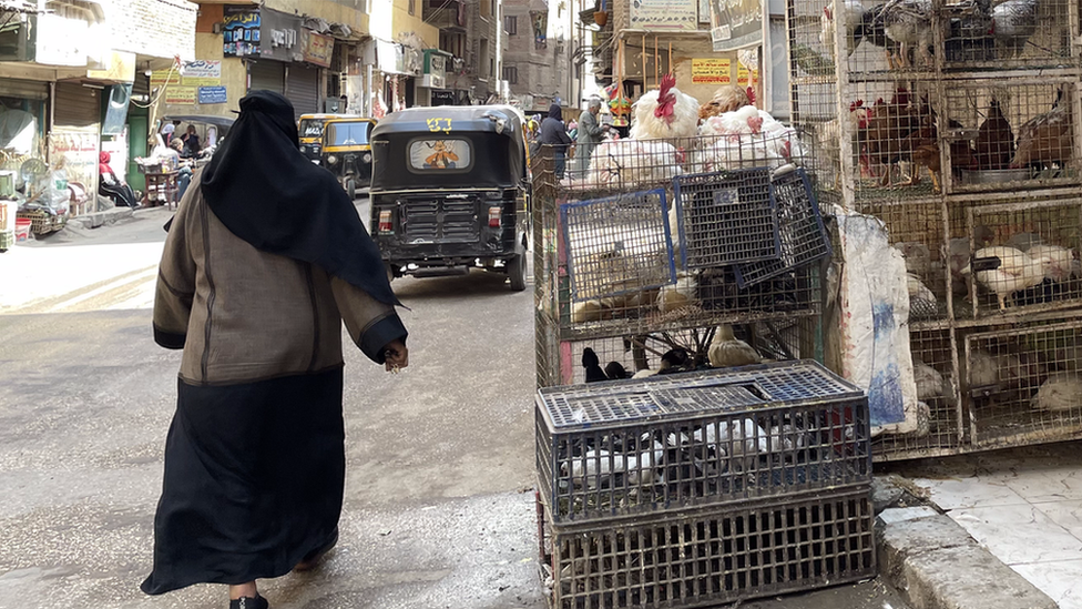 محل لبيع الدواجن في أحد الأسواق المصرية