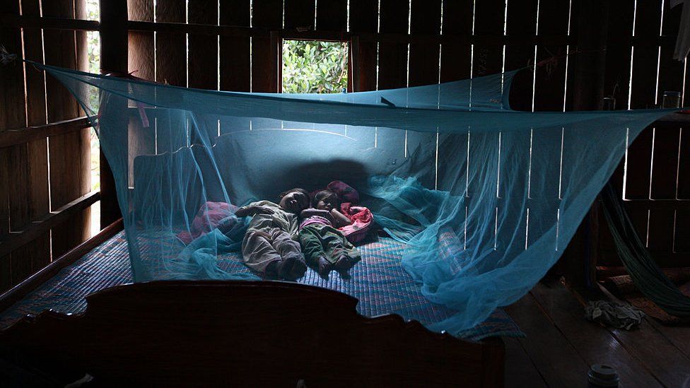 Niños durmiendo protegidos por un mosquitero