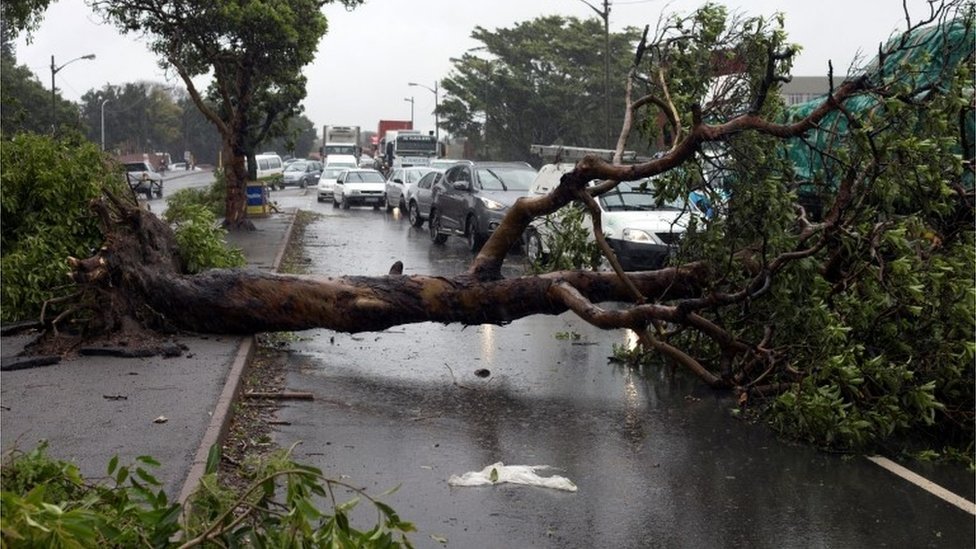 Пробки из-за упавших деревьев во время шторма в Дурбане, ЮАР 10 октября 2017 г.
