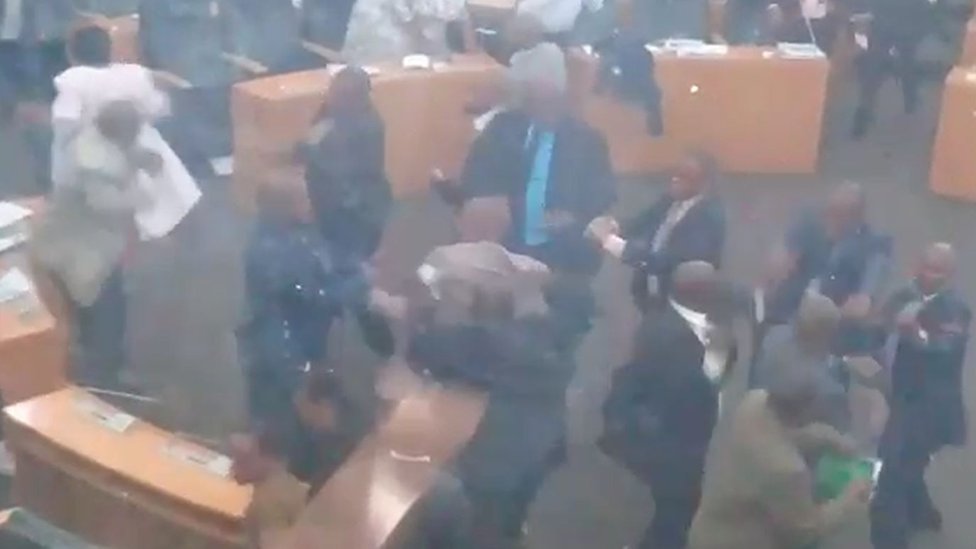Депутаты дерутся в парламенте
