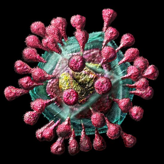 Coronavirus por qué el nuevo virus aún no tiene nombre (y por qué es