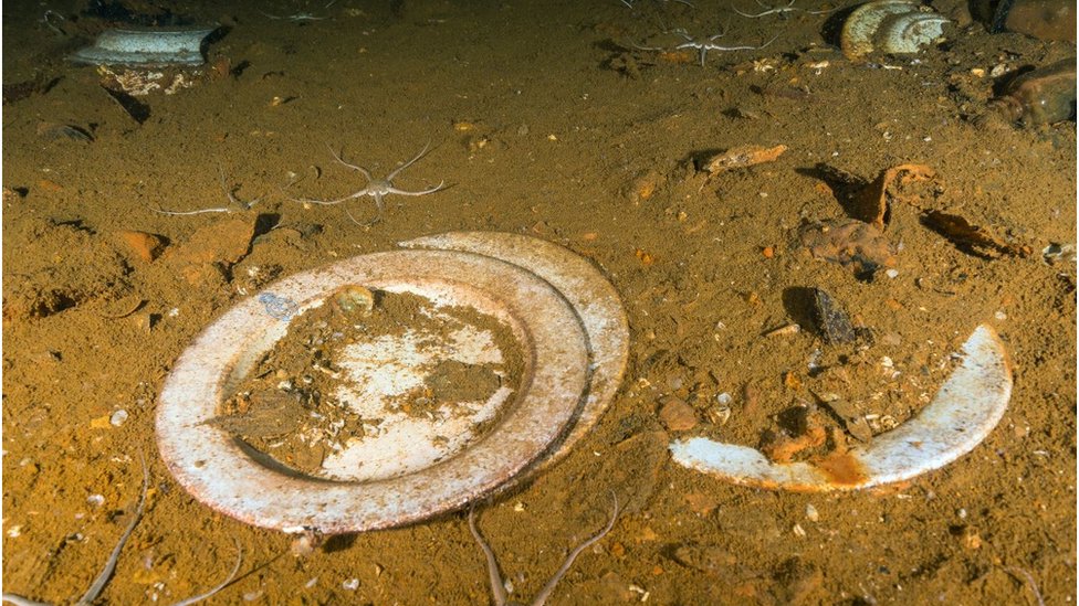 плиты от HMS Royal Oak, найденные на морском дне