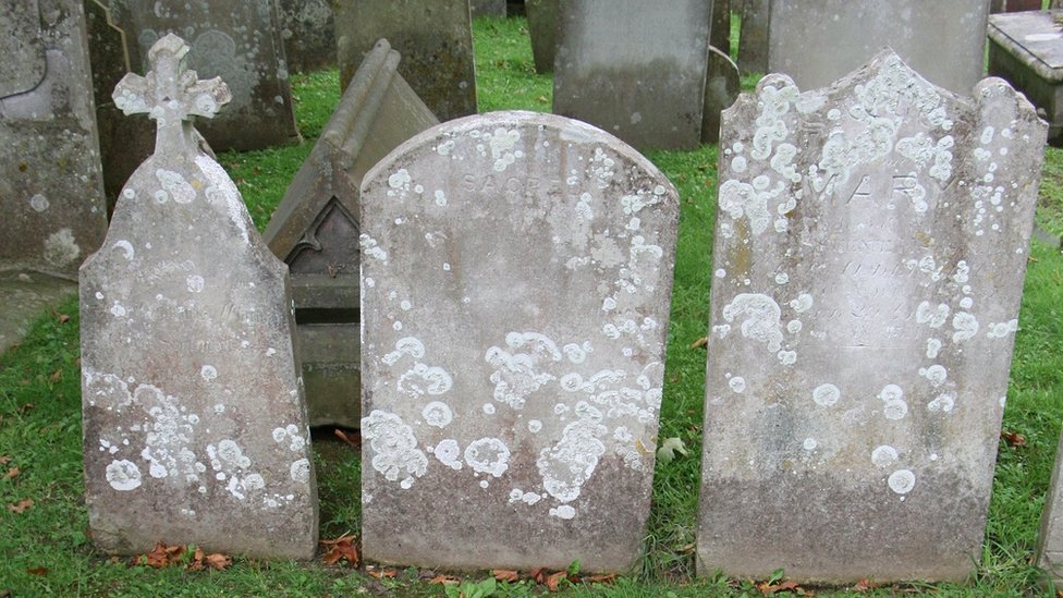 Три могилы выстроены рядом друг с другом