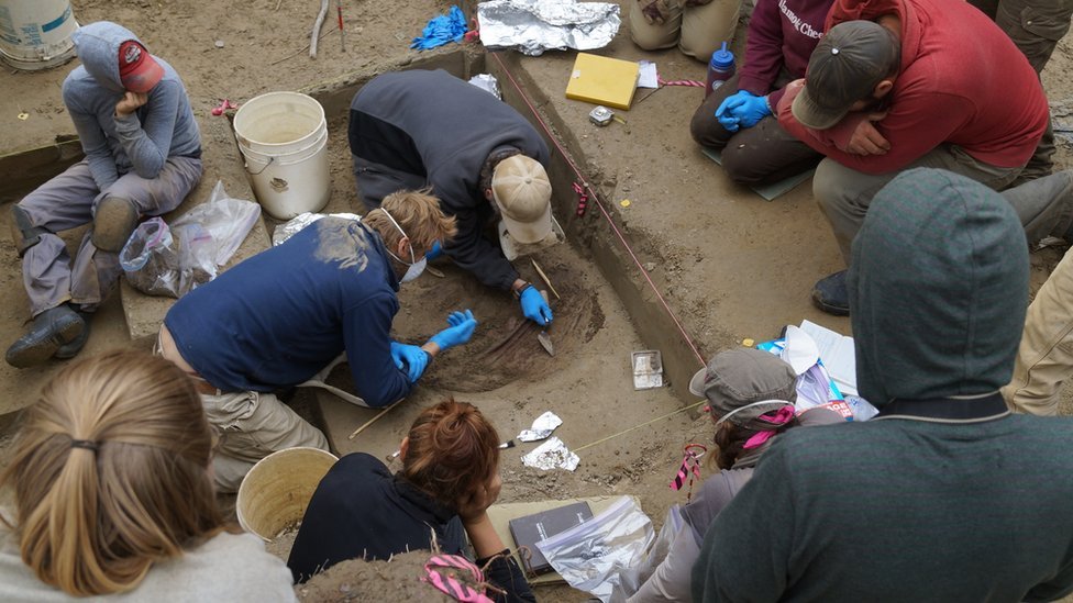 El esqueleto de la bebé de seis semanas de edad fue desenterrado en el sitio arqueológico Upward Sun River en 2013. Foto: AFP/Nature/Universidad de Alaska Fairbanks/Ben Potter. Excavaciones en Upward Sun River, Alaska. Foto: AFP/Nature/Universidad de Alaska Fairbanks/Ben Potter.