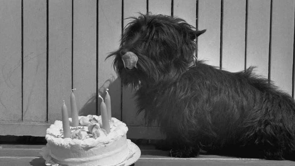 الرئيس روزفلت طلب هذه الكعكة للاحتفال بعيد ميلاد فالا
