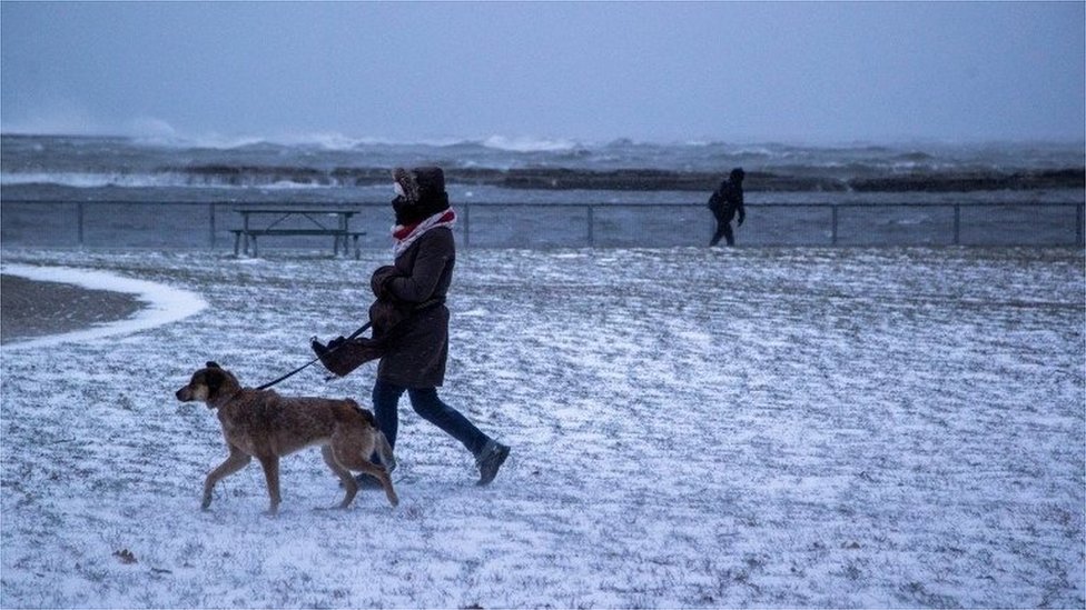 Mulher anda com o cachorro em Lake Ontario, no Canadá