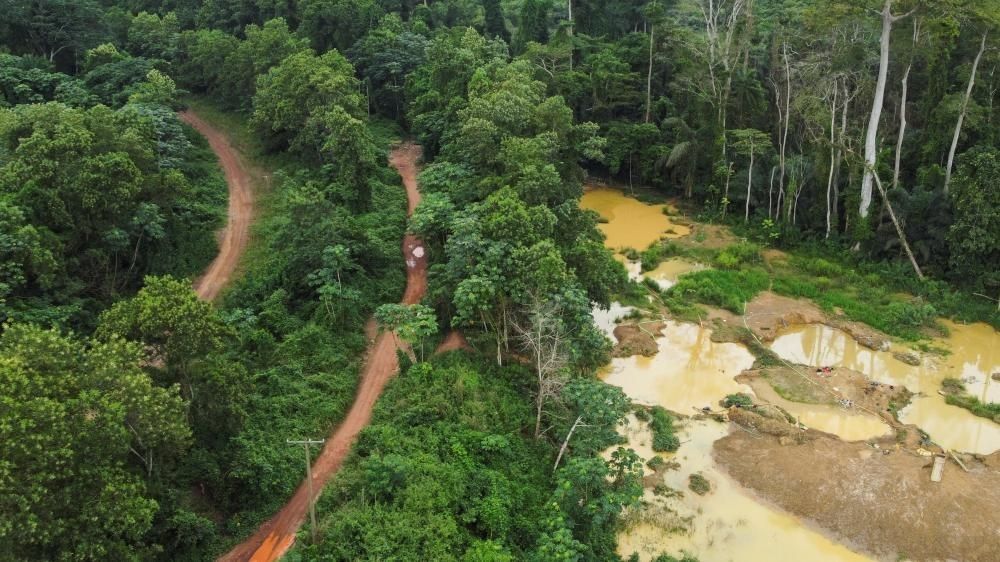 We’re giving you two weeks to stop mining in forest reserves - Dr. Amoakohene to Illegal Miners