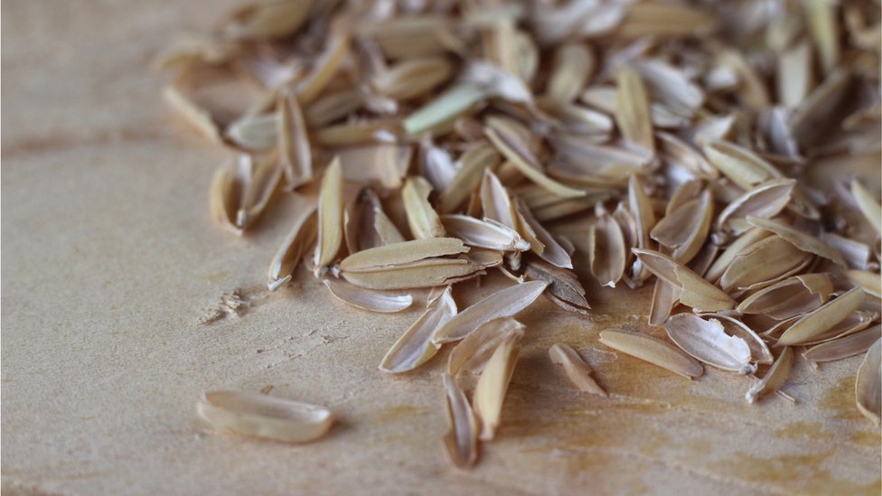 Cascarilla del arroz.