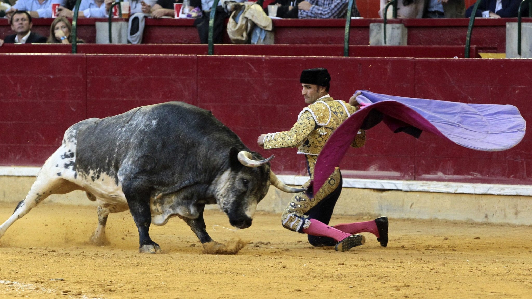 Madrid Bullfight Schedule 2022 Catalan Bullfights: Spanish Top Court Overturns Ban - Bbc News