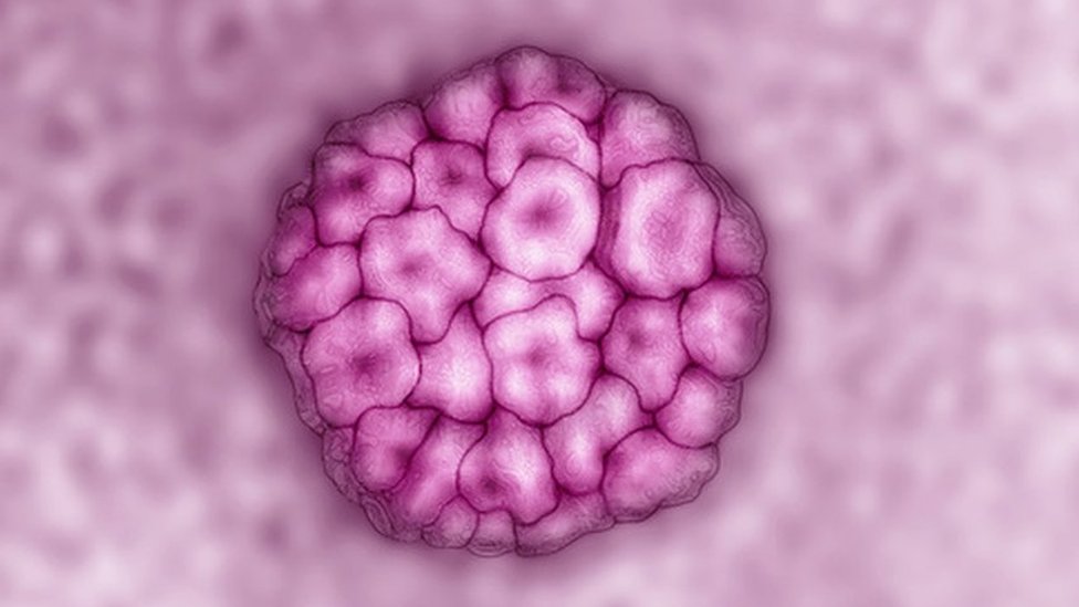 how to eliminate hpv virus