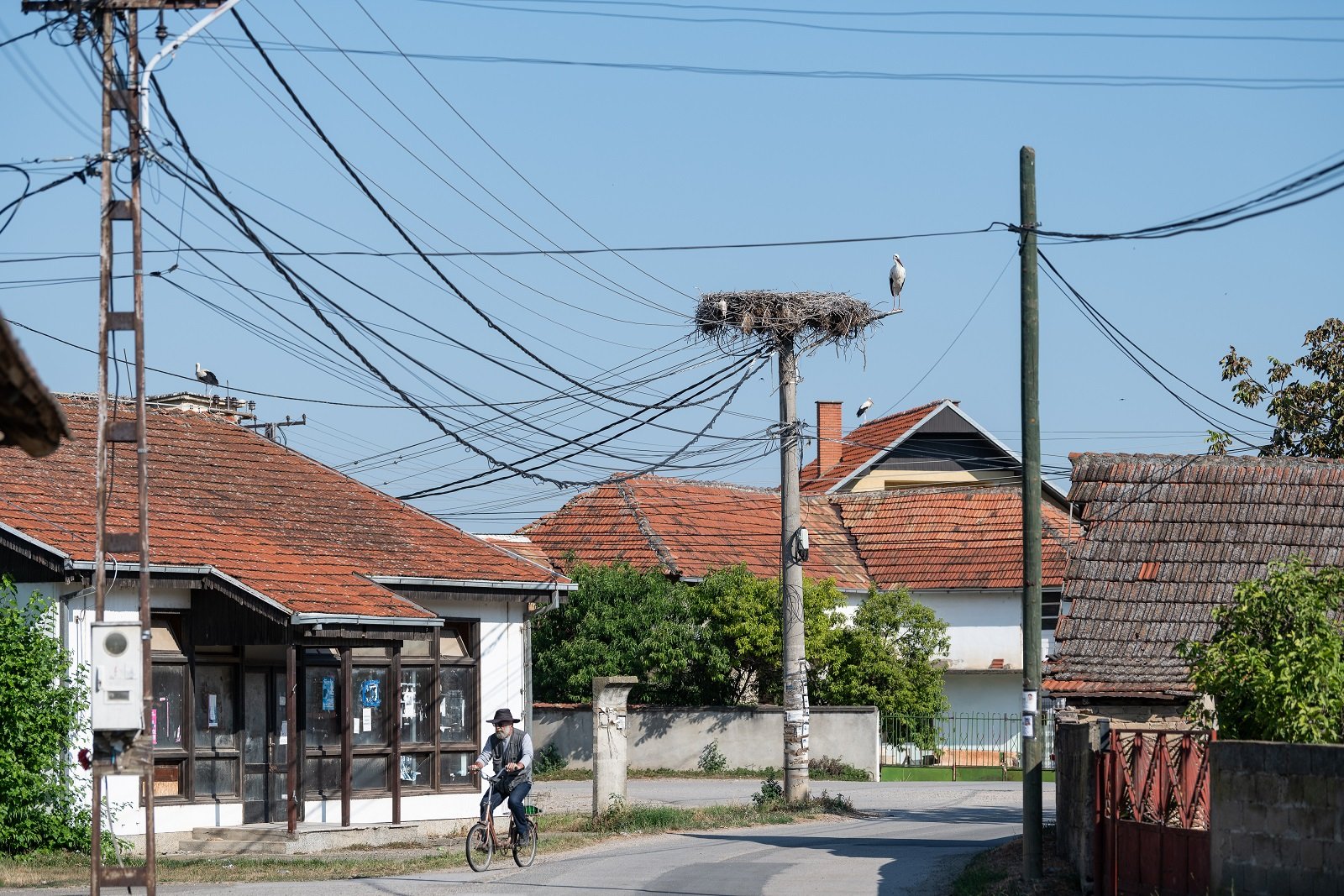 Rode Donje Međurovo