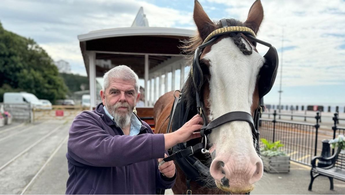 Driver celebrates 'unbelievably unique' 50-year horse tram