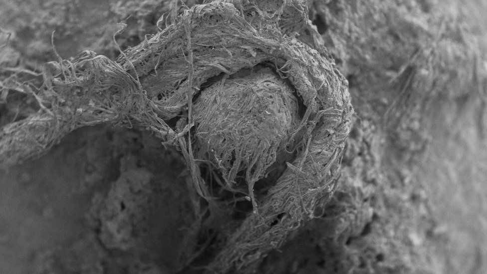 Раздаточная фотография, выпущенная M-H Moncel / Histoire Naturelle de l'Homme Prehistorique, демонстрирующая фрагмент шнура, обнаруженный на археологическом участке Абри-дю-Мара во Франции, сделанный с помощью цифровой микроскопии