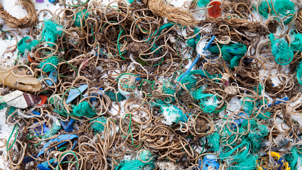 Bandas elásticas y restos de redes de pesca y otros objetos recogidos en la isla Mullion