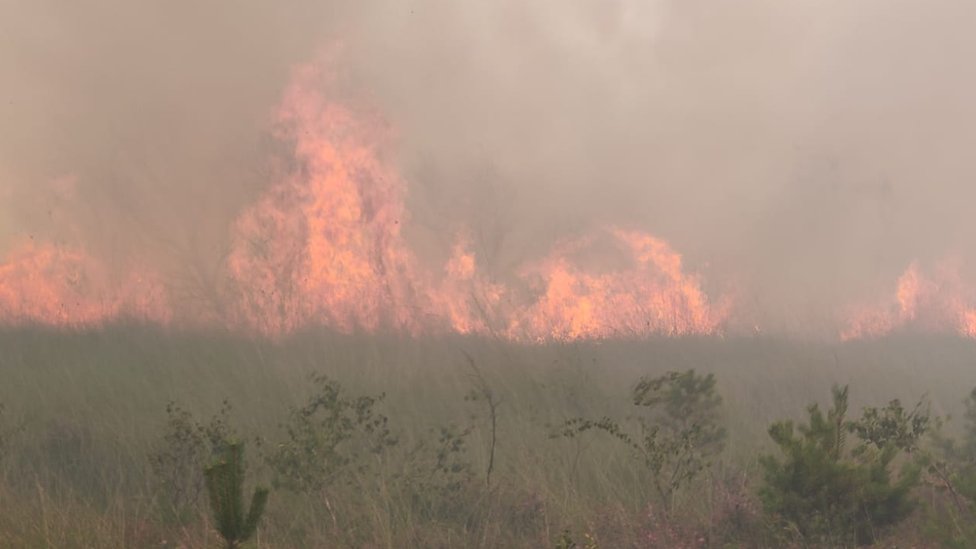 Лесной пожар в Чобхэме