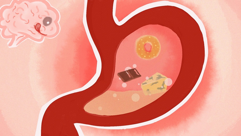 Abstract illustration of human stomach with various foods inside. A hungry brain is looking at the stomach