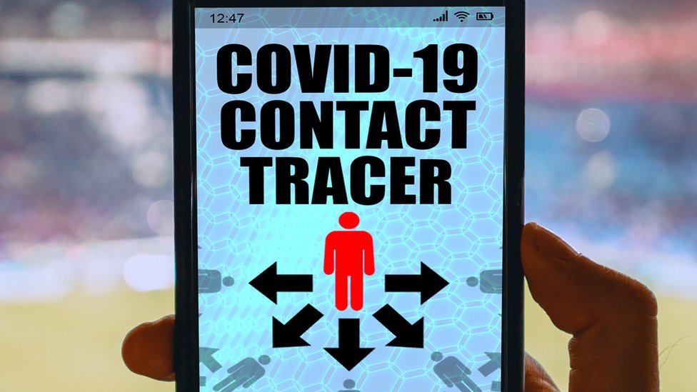 Макет приложения для отслеживания контактов Covid-19