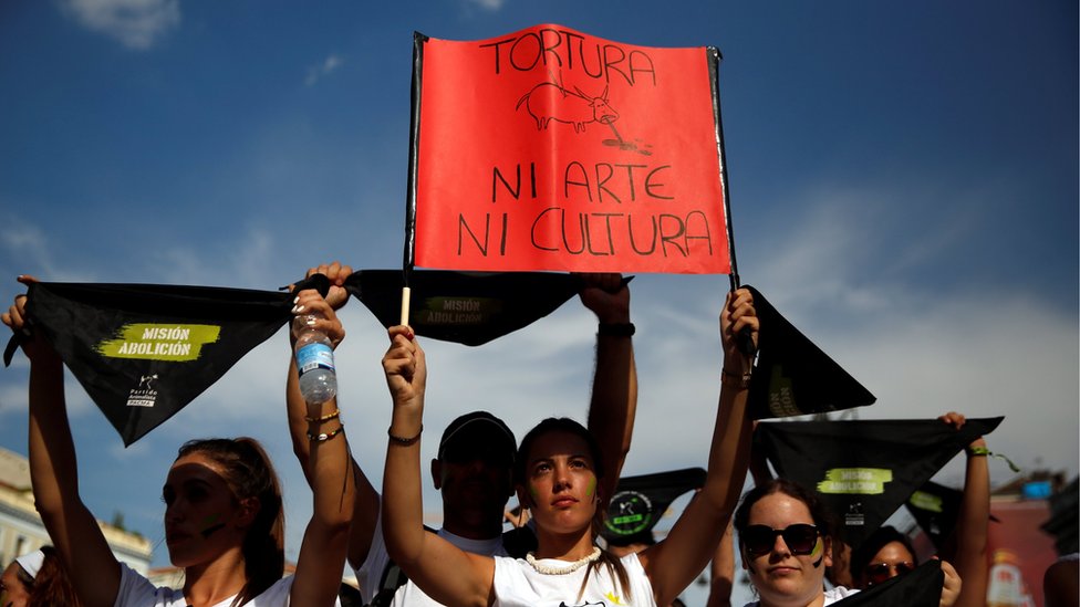 Активист по защите прав животных держит плакат с надписью «Пытки, ни искусство, ни культура» в начале демонстрации с требованием запрета корриды в Мадриде