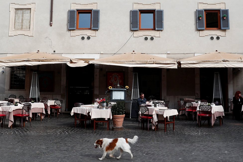 A dog walks past a restaurant that has a lot of empty tables