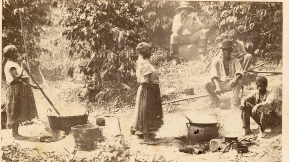 Escravos trabalham em uma plantação de café no Brasil