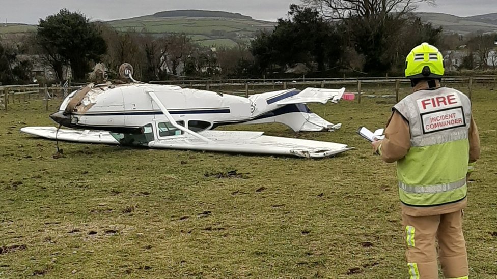 Isle of Man plane crashed trying to avoid horse BBC News