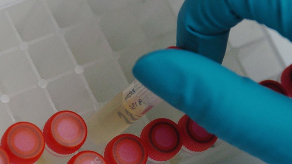 West Lothian Council to random drug test staff BBC News